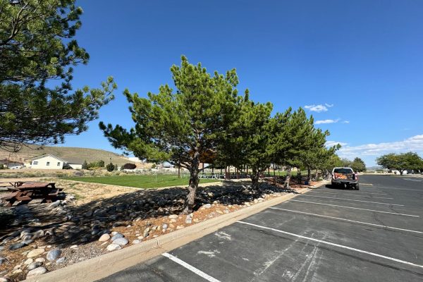 Pavilion Picnic Canopy For The Church Of The Saints Of The Last Days, Aztec NM (12)
