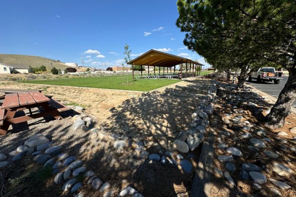 Pavilion Picnic Canopy For The Church Of The Saints Of The Last Days, Aztec NM (13)